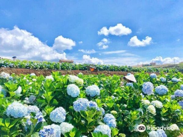 5 Days Tour Nha Trang And Dalat From Singapore